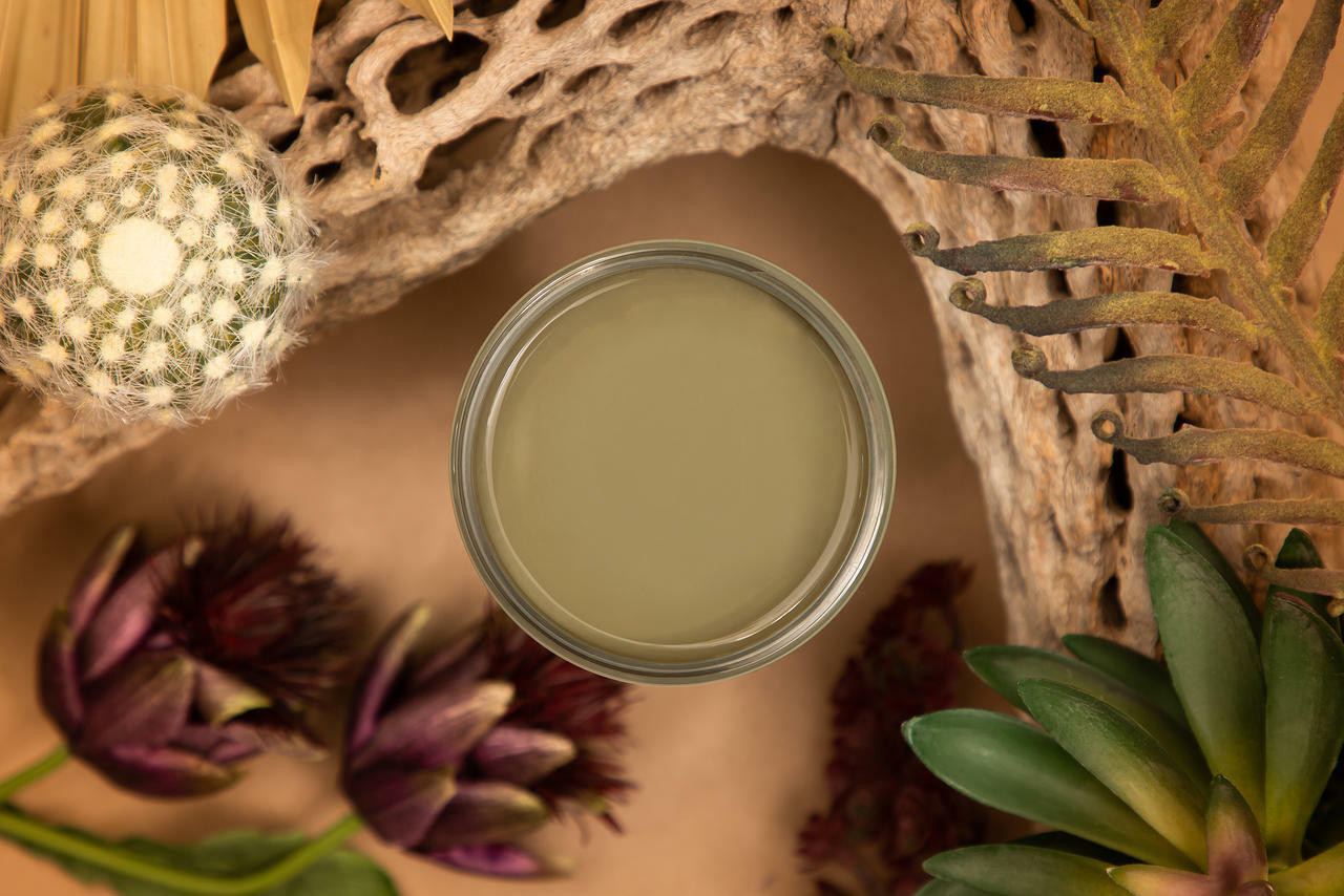 Nala ナラ　Cactus all in one Cactus Silk Paint - Dixie Belle Paint Company