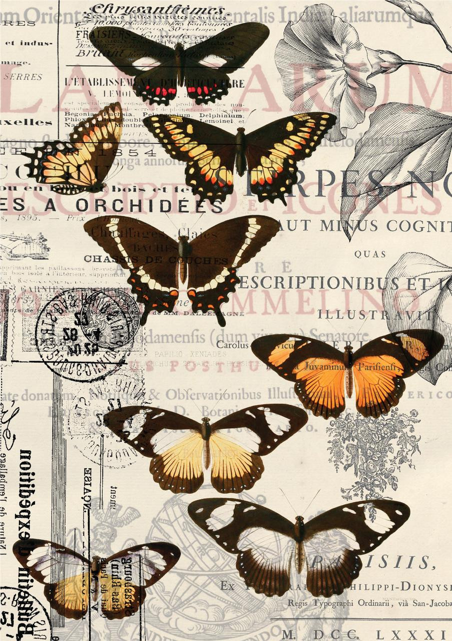 https://cdn11.bigcommerce.com/s-gruavgwhab/images/stencil/1280x1280/products/1213/11852/belles-and-whistles-vintage-butterflies-tissue-decoupage-paper__70306.1686237377.jpg?c=3