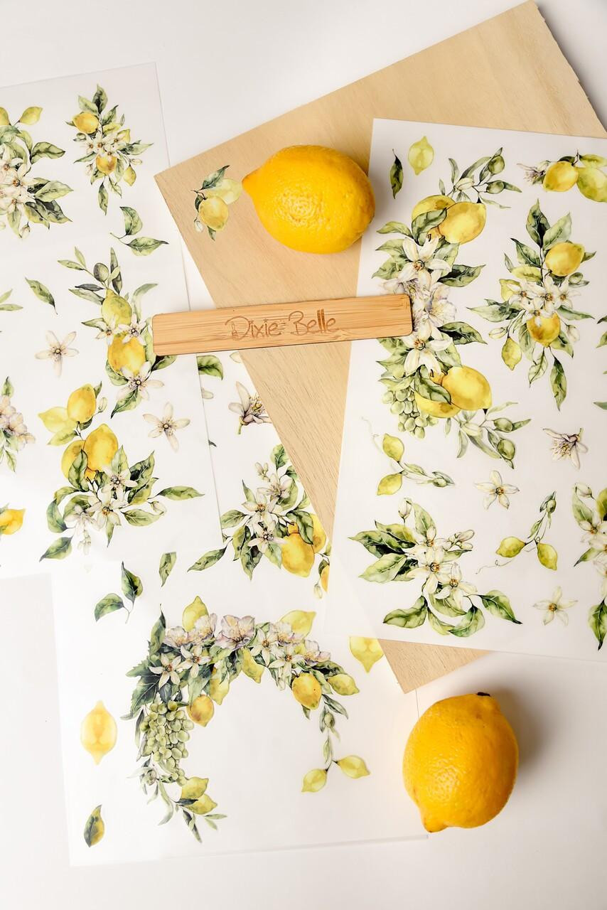 ※　lemonページ　※ Lemon Zest - Mid Transfer - Dixie Belle Paint Company