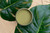 Overhead shot of an open jar of Everglades on faux greenery.