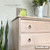 A light wood dresser with brass ring pulls stands next to green plants and a pale wall. Text reads “Leah Kendrick Design,” “Dixie Belle Paint Company Content Creator,” and “Fireside Ash.”.