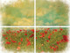 Belles and Whistles Field of Flowers - Rub On Furniture Transfer, Best Transfers for Furniture 
Here is a picture of of the 4 panels of the transfer.  the top two panels look like billowy clouds of green and yellows.  The bottom two panels show fields of red poppy flowers.  All of these panels are set against a black background.