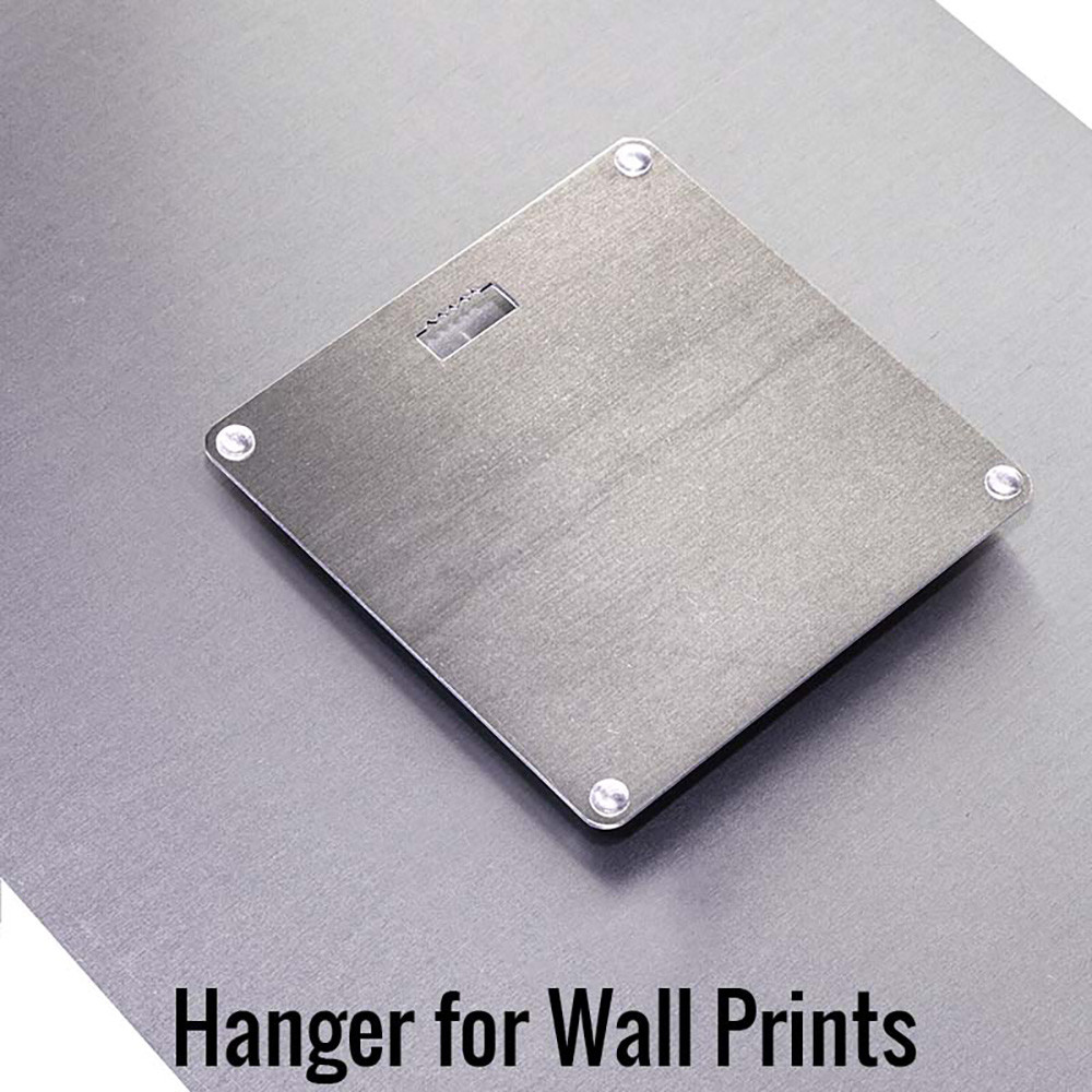 Hanger for Walls
