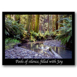 StillWaterCreekQ0082