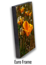 DeTomasoInterior_0018