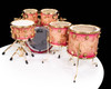 DW Collector's 6pc Maple SSC Kit - Transparent Pink Burst  on Mapa Burl