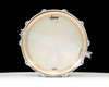 Ludwig 6.5x14 Acrolite Brass Snare Brushed New P86C