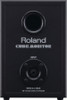 Roland 2.1 Monitor System in Black