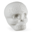 LP Sugar Skull Shaker - Glow-in-the-Dark