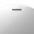 Evans UV2 Coated Drum Head - 8"