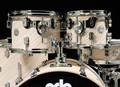 PDP Concept Maple 5pc Shell Pack - Twisted Ivory
