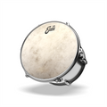 Evans Calftone 57 Drum Head 14"