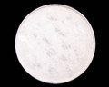 Sonor 24" Natural Power Vintage Series Bass Drum Head