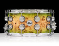 DW Collector's 7x14 Maple Snare - Candy Lime Burst over Mapa Burl
