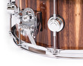 DW Collector's 6.5x14 Maple Snare - Natural High Gloss over Monkey Pod