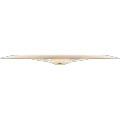 Meinl Cymbals 18 in. Byzance Brilliant Trash China Cymbal