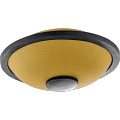 Meinl Sonic Energy 6" Mini Steel Tongue Drum - B Major, Gold