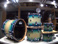 DW Collector's 5pc 333 Maple Kit- Regal Royal Bust on Ash Pommele (1386431)
