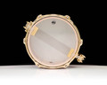 DW Collector's 5x10 SSC Gloss Black Snare - Gold Hardware