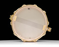 DW Collector's SonicPly 8x14 Snare - Diamond Nebula with Gold Hardware
