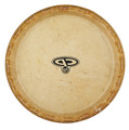 CP 10" Conga Head for CP646/CP643 product image
