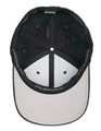 DW Laurel Logo Hat, Black product image
