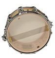Used - DW Collector's Series Maple Std 6.5x14 Natural Satin Oil, Chr HW