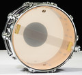 DW Performance Series 8x14 Snare Drum - Ebony Stain