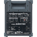 Roland Cube Monitor 30w CM-30