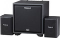 Roland 2.1 Monitor System in Black