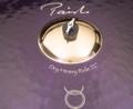 Paiste 22" Danny Carey Signature Dry Heavy Ride