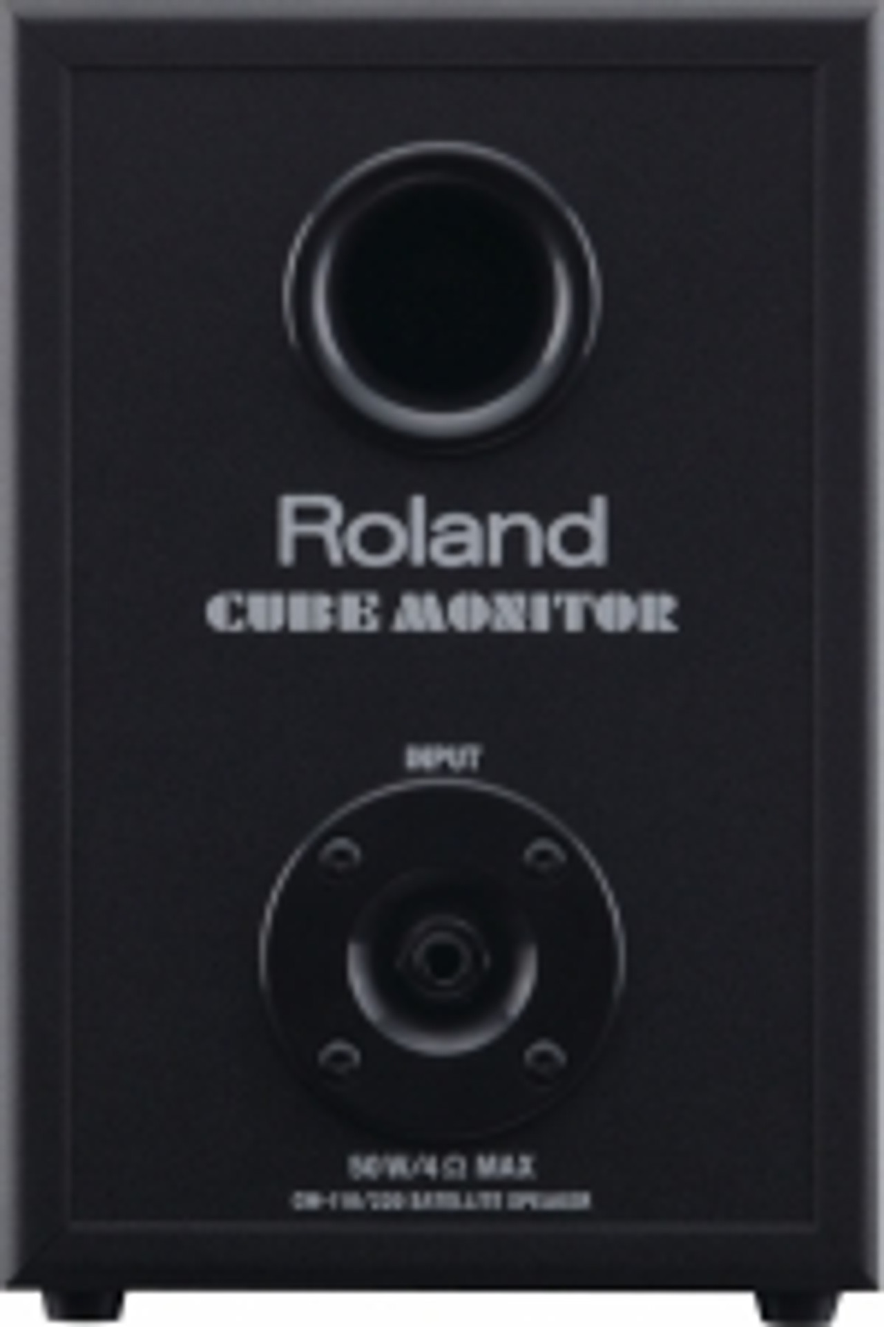 Roland 2.1 Monitor System in Black