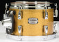Yamaha Absolute Hybrid Maple 3pc - Gold Champagne Sparkle