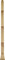 Meinl Didgeridoo, 51
