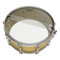 Remo Ambassador Hazy Snare Side 13