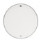 DW Double A (AA) Coated Drum Head Batter - 8