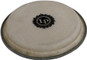 Latin Percussion Small City Bongo Head