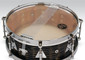 Bottom  Snares
