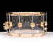 DW Collector's Cymbalfusion 20th Anniversary Acrylic 8x14 Snare - Gold Hardware