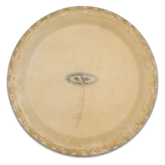 CP 9" Replacement Conga Head for CP636-WRD product image 2