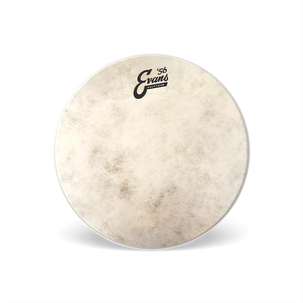 Evans Calftone 57 Drum Head 14"