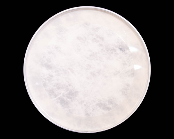 Sonor 20" Natural Power Vintage Series Bass Drum Head