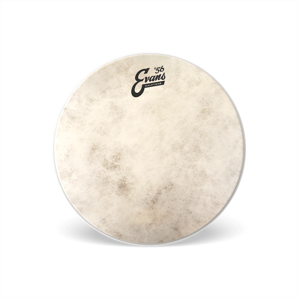 Evans Calftone 57 Drum Head 8"