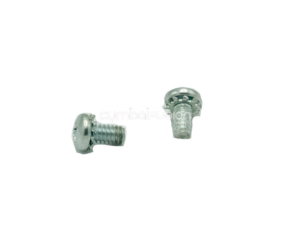 DW Screw and Washer for Hinge Singles DWSP705 (DWSP705) screws