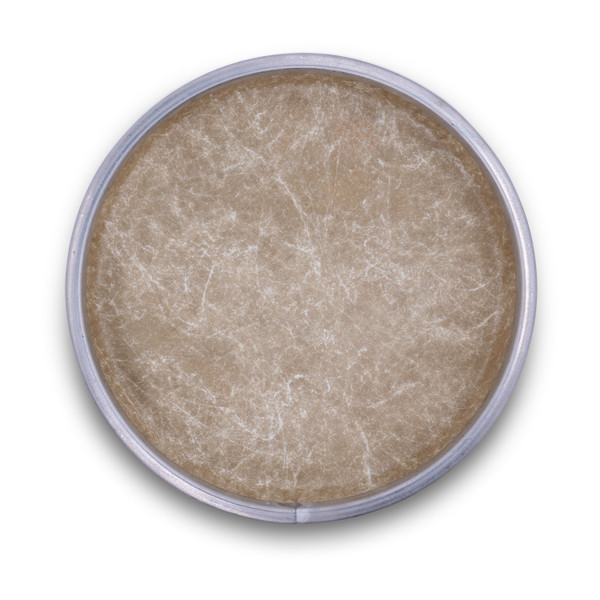 LP Fiberskyn Bongo Head, 9" product image