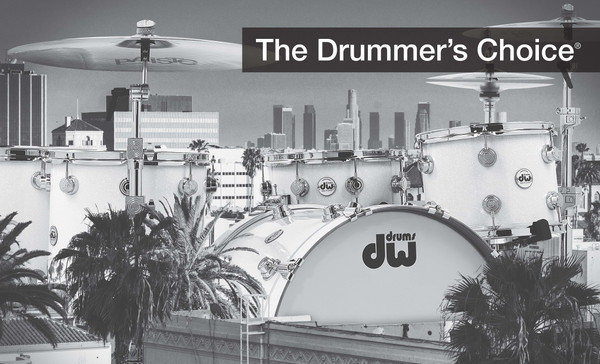 DW DEALER BANNER product image