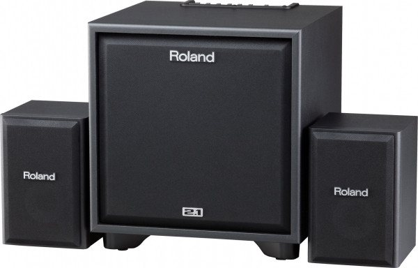 Roland Cube Monitor 30w CM-30