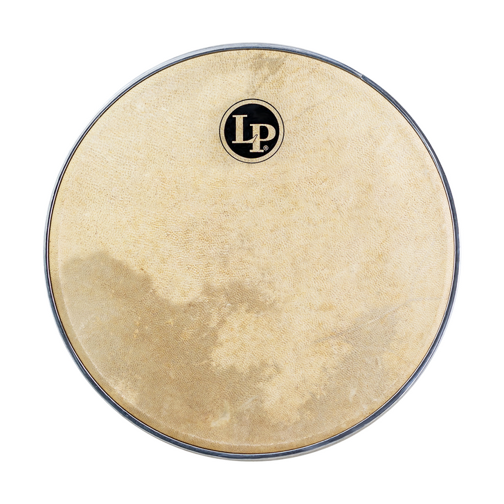 LP Rio 12" Plastic Pandeiro Replacement Head