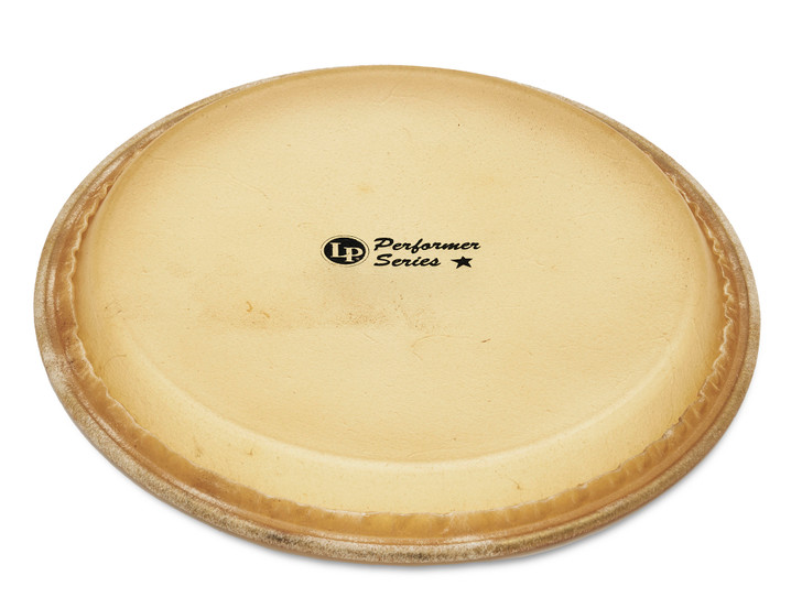 11" LP Performance Series Quinto Head