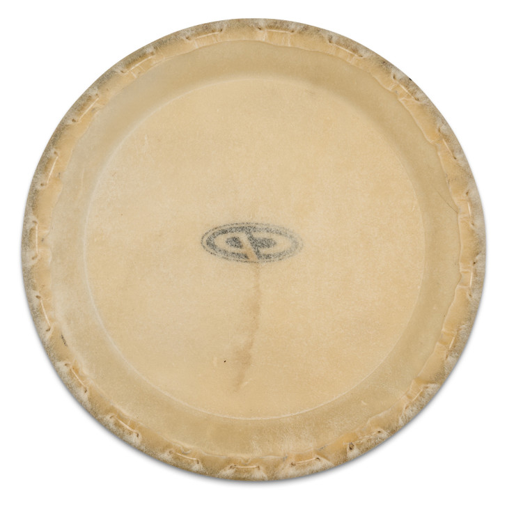 CP 9" Replacement Conga Head for CP636-WRD product image 2